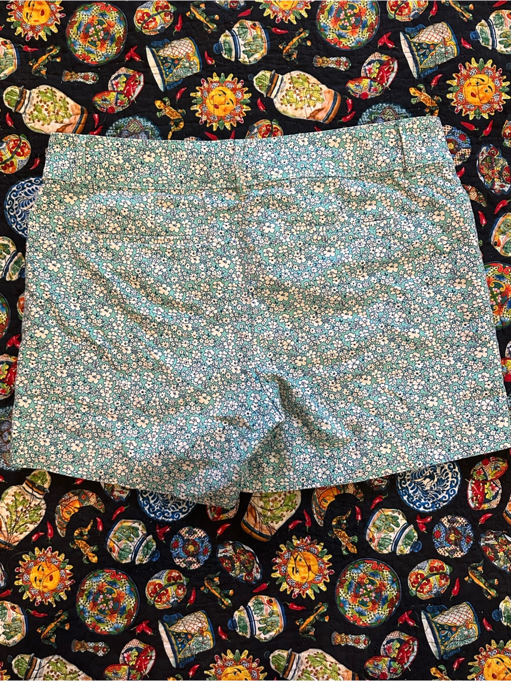 The Limited Petite Daisy Print Cotton Shorts - Light Blue and White EUC - Picture 5 of 6